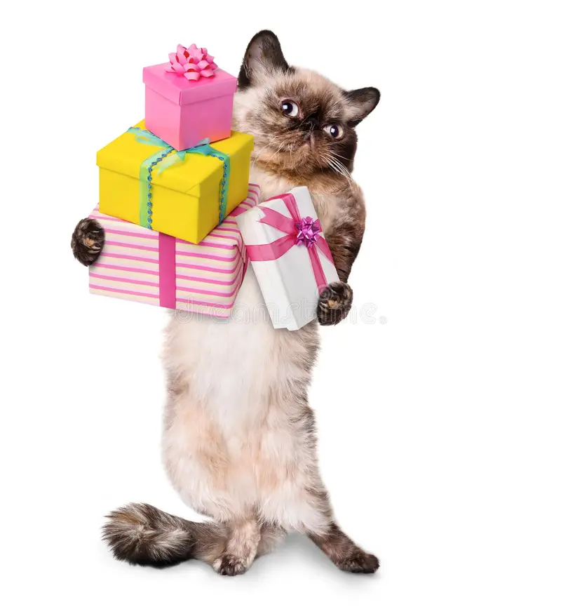 Гости несут подарки 🎁
